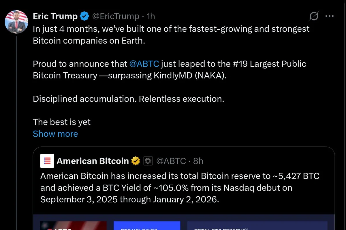 American Bitcoin: capital structure and who benefits — original source image